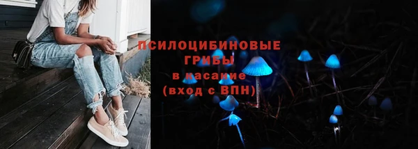 шишки Баксан