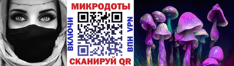 цена   Гай  Псилоцибиновые грибы прущие грибы 